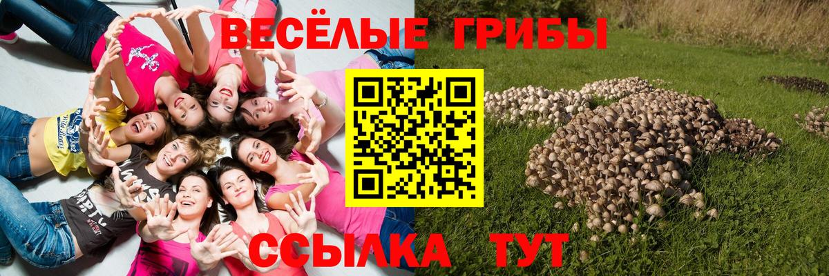 Галлюциногенные грибы ЛСД Коркино