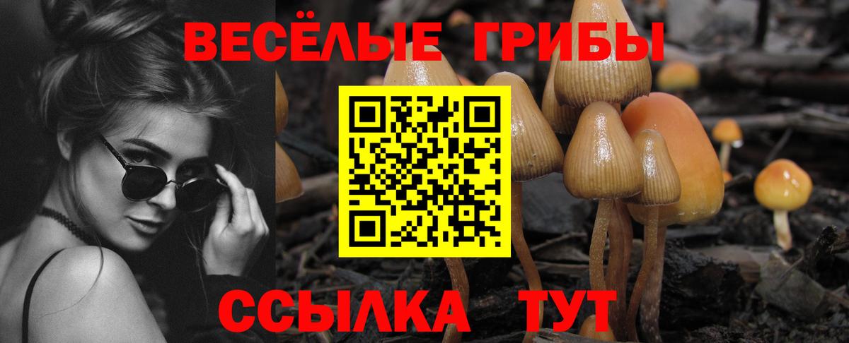Коркино  Галлюциногенные грибы MAGIC MUSHROOMS  Вход с VPN 